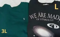 メンズ　裏起毛　トレーナー　L 、3L 　二枚セット