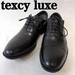 新品❗️テクシーリュクス❗️GORE-TEX ストレートチップ 黒26.5㎝紐