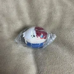 轟焦凍 もちもちマスコット 体操服