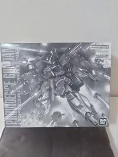 MGプロヴィデンスガンダム[スペシャルコーティング] 売れなければ値段
