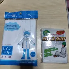 Item thumbnail for item 0f95bd55-18af-4c93-84ff-00e7d288373c