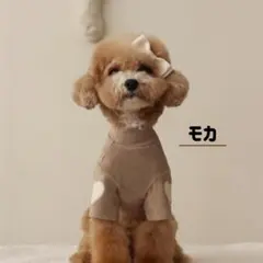 犬服 犬 服 カットソー Tシャツ ハート インナー 春 秋 かわいい モカ M