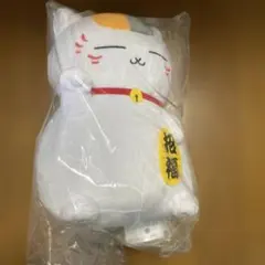 Item thumbnail for item 93c480ba-7c45-4507-b866-7d7744af1e02