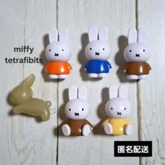 miffy　テトラフィビッツ　6個セット