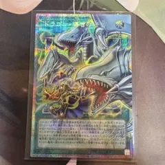 ドラゴン導きの呼笛 オーバーフレーム　プリズマティックシークレット　プリシク