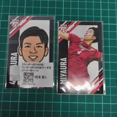 宮浦健人選手　限定ステッカー メルカリ