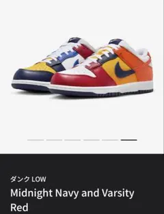 Nike Dunk Low CO.JP 