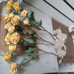 acorire様 リクエスト 2点 まとめ商品