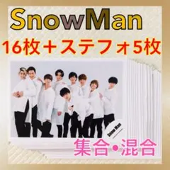 【公式写真16枚+ステフォ5枚セット】Snow Man　集合、混合　L528