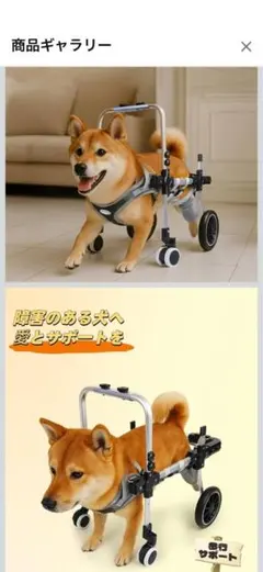 Item thumbnail for item 8ffdc5fe-d4ce-43c9-b321-c54ae16e97de