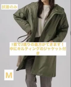 Item thumbnail for item da7a2912-42ed-422e-95a1-36fe73332933