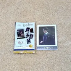 ハリーポッター ぱしゃこれ vol.2 トムリドル