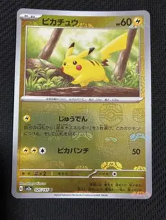 2026年最新】マスボ ピカチュウの人気アイテム - メルカリ