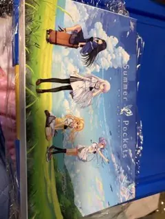 Summer Pockets 初回限定版 PCゲーム