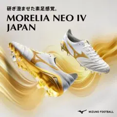 2025年最新】モレリア 25の人気アイテム - メルカリ