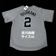 2025年最新】チーム(球団)名：読売ジャイアンツ ユニフォームの人気