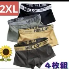 2XL ボクサーパンツブリーフメンズ男性 肌着下着インナーアンダーウェア 前閉じ