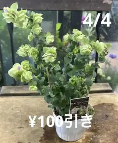 yuan-G-DRAGON様 リクエスト 2点 まとめ商品