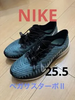 ［美品100km以下］ランニングシューズ NIKE ペガサスターボⅡ