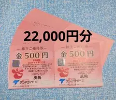 テング テンアライド 18,000円分 株主優待 お食事券 2027年2月末期限