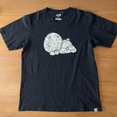 Item thumbnail for item 646539a6-6e0d-4c49-bcfc-0a896cc4f1ca