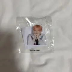 アクリルクリップ　ヨシ