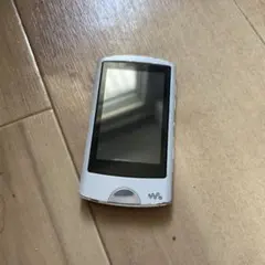 Item thumbnail for item 2e105f33-ed28-48e0-9f89-d9ce407bce1b