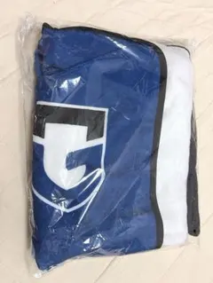 ガンバ大阪　熱狂開幕ブランケット