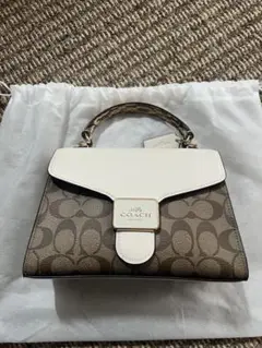 （年末お値下げ中）coach コーチ　C1325 ハンドバッグ　ショルダーバッグ