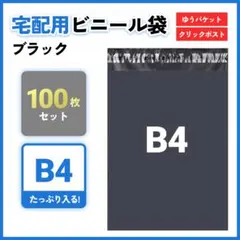 m&m shop〜週末SALE！〜様専用④宅配ビニール袋 100枚 B4