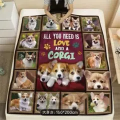コーギー　ブランケット　毛布　犬　ふわふわ 膝掛け　フワフワ　限定品