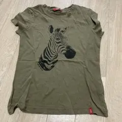 Item thumbnail for item 21240938-713e-4e88-bb05-addf081b37b7