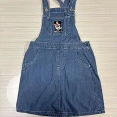 リトシー　ミニージャンスカ120