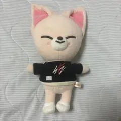 StrayKids アイエン マスター ぬいぐるみ グッズ 2025年最新】アイエン ぬいぐるみ マスターの人気アイテム - メルカリ