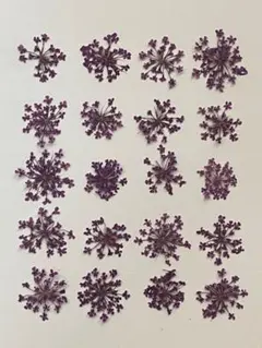 押し花素材パック　レースフラワー（パープル）20個入 No1060