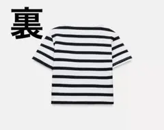 zara ショート丈Tシャツ