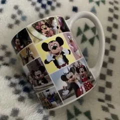 東京ディズニーリゾート マグカップ ミッキー ミニー