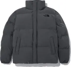 THE NORTH FACE RIVERTON ON BALL ダウンジャケット