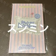 Skzoo STRAYKIDS 韓国 ペンミ チケットセット スンミン