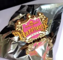 Mrs.GREENAPPLE ミセス　ハーモニー　 ライトスティックリングピンク