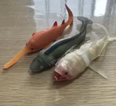シャークアタック　アンドコ　3点セット！