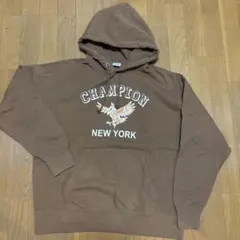 Champion メンズ　Mサイズ パーカー　　アウトドア　ダルギ