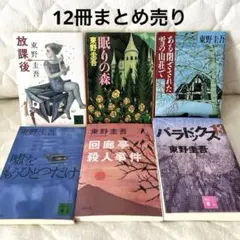 【小説・文庫本まとめ売り12冊】東野圭吾、金原ひとみ、辻仁成、石田衣良、他