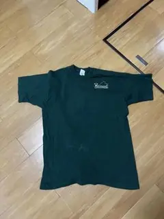 フルーツオブザルーム Tシャツ