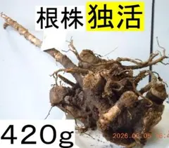 taberu様 リクエスト 2点 まとめ商品