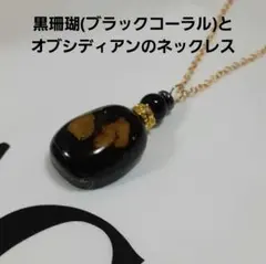 2026年最新】深海松の人気アイテム - メルカリ