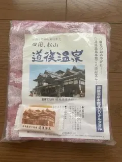 Item thumbnail for item 9c357a0a-5e6c-4a14-9743-164b66a5e7b1