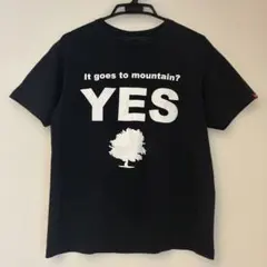 THE NORTH FACE Tシャツ ブラック L