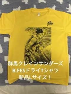 群馬クレインサンダーズ　細川一輝　サイン入りTシャツ　アンダーアーマー製 最終値下】群馬クレインサンダーズ #29 細川一輝 アンダー