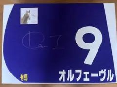 2026年最新】オルフェーヴル たてがみの人気アイテム - メルカリ